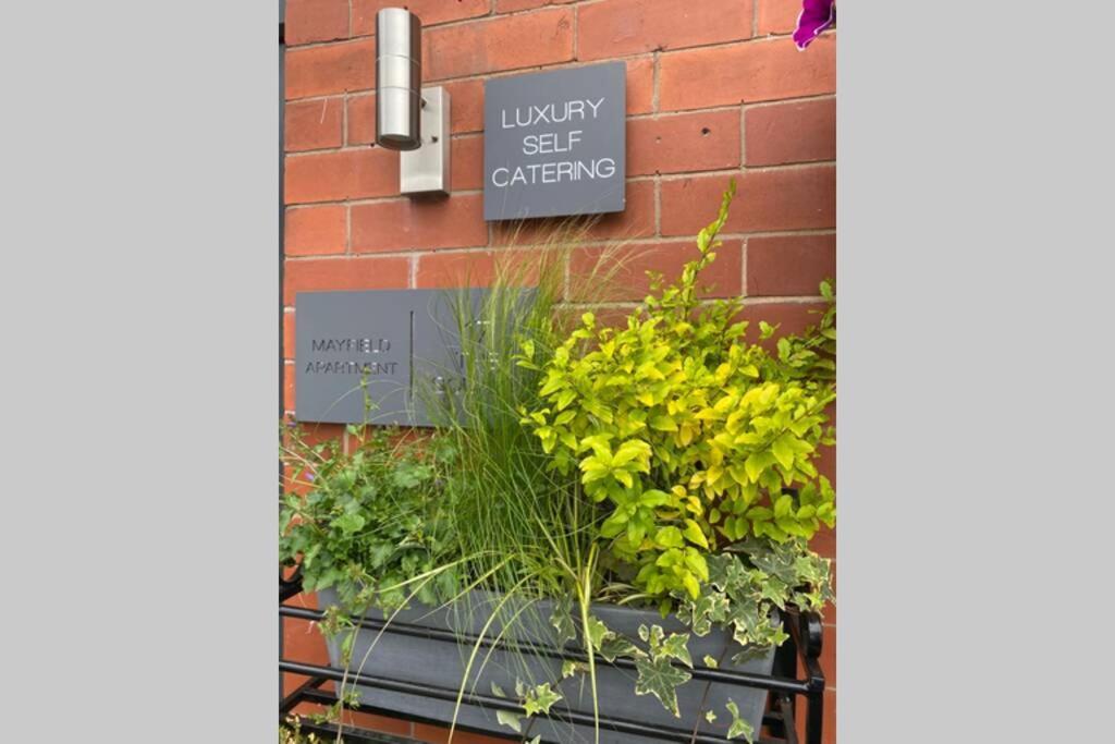 Mayfield Apartment Luxury First Floor 1 Bedroom Apartment Great Eccleston Exteriör bild